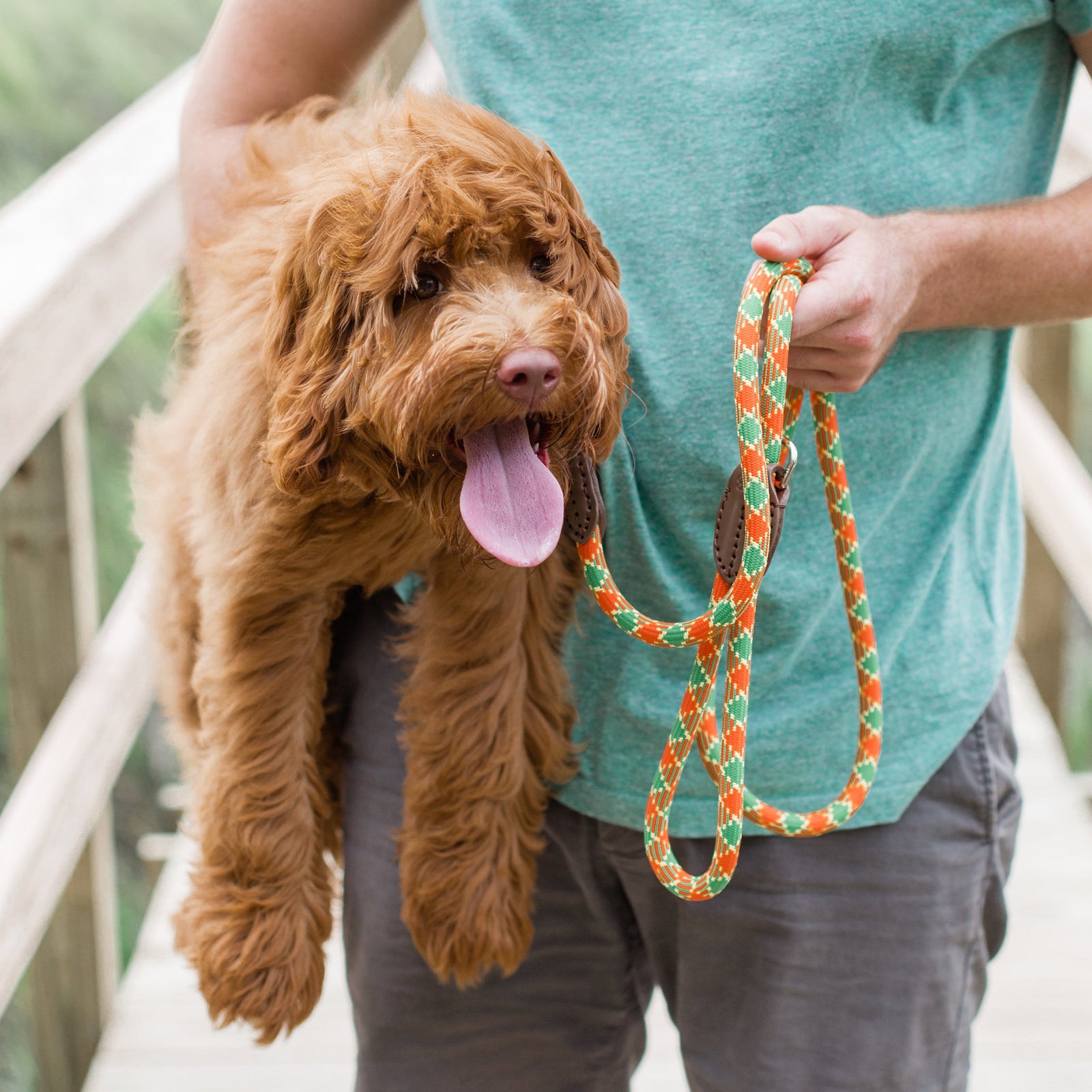 Rope style discount dog leash