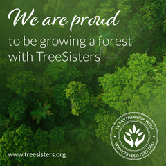 We are proud to be growing a Rain Forest with TreeSisters | BB Group Business Consultancy