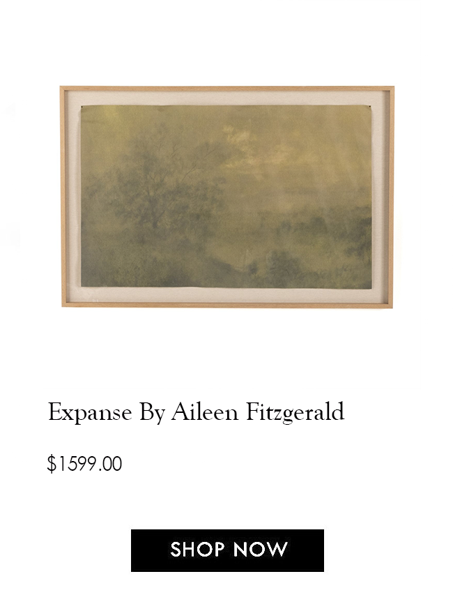 Expanse By Aileen Fitzgerald