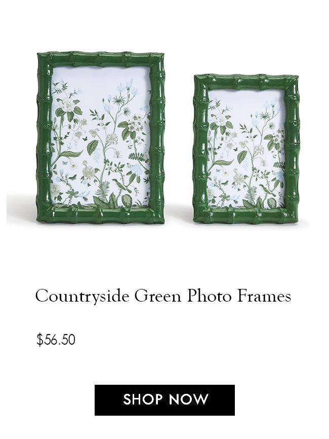 Countryside Green Bamboo Photo Frames Grand Millennial Burke Decor