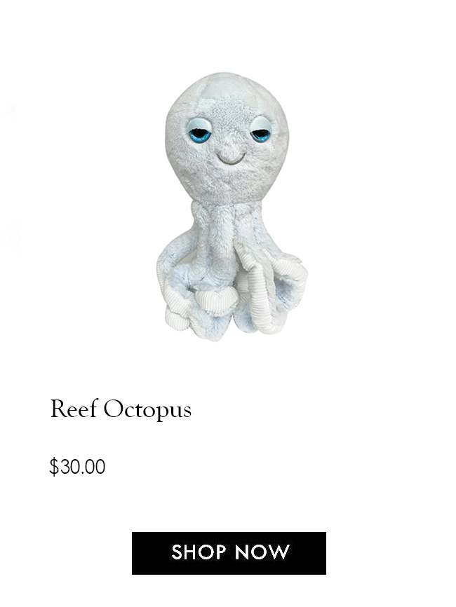 Gift Guides Burke Decor Holiday Christmas Gifts for Kids Reef Octopus