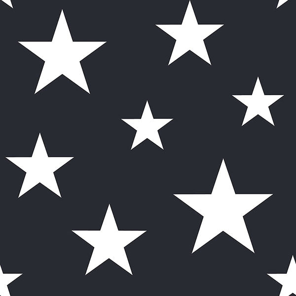 Amira Navy Stars Wallpaper from the Fable Collection