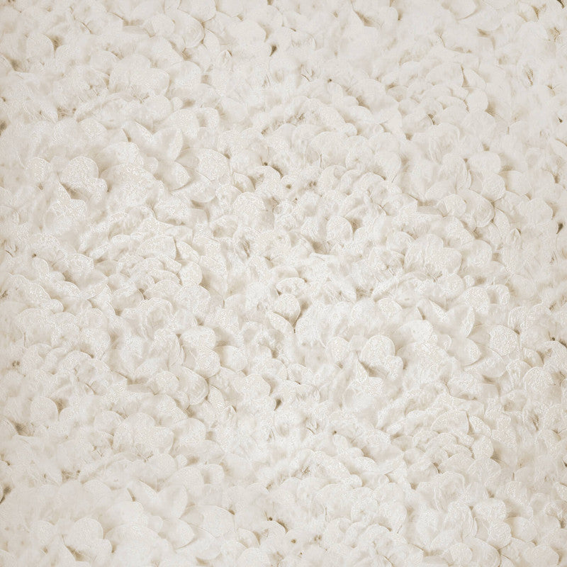 Arco Wildflower Wallpaper in Himalayan Salt