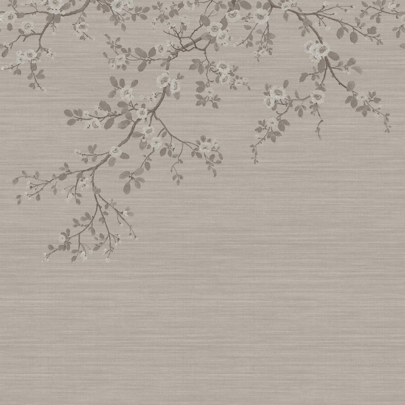 Apple Blossom Wall Mural in Taupe/Mauve