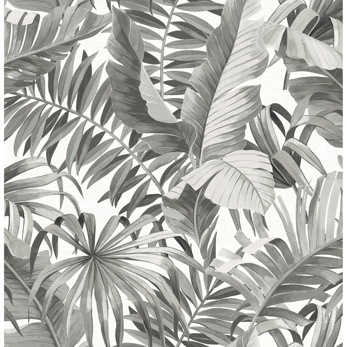 Featured image of post Aesthetic Tropical Wallpaper