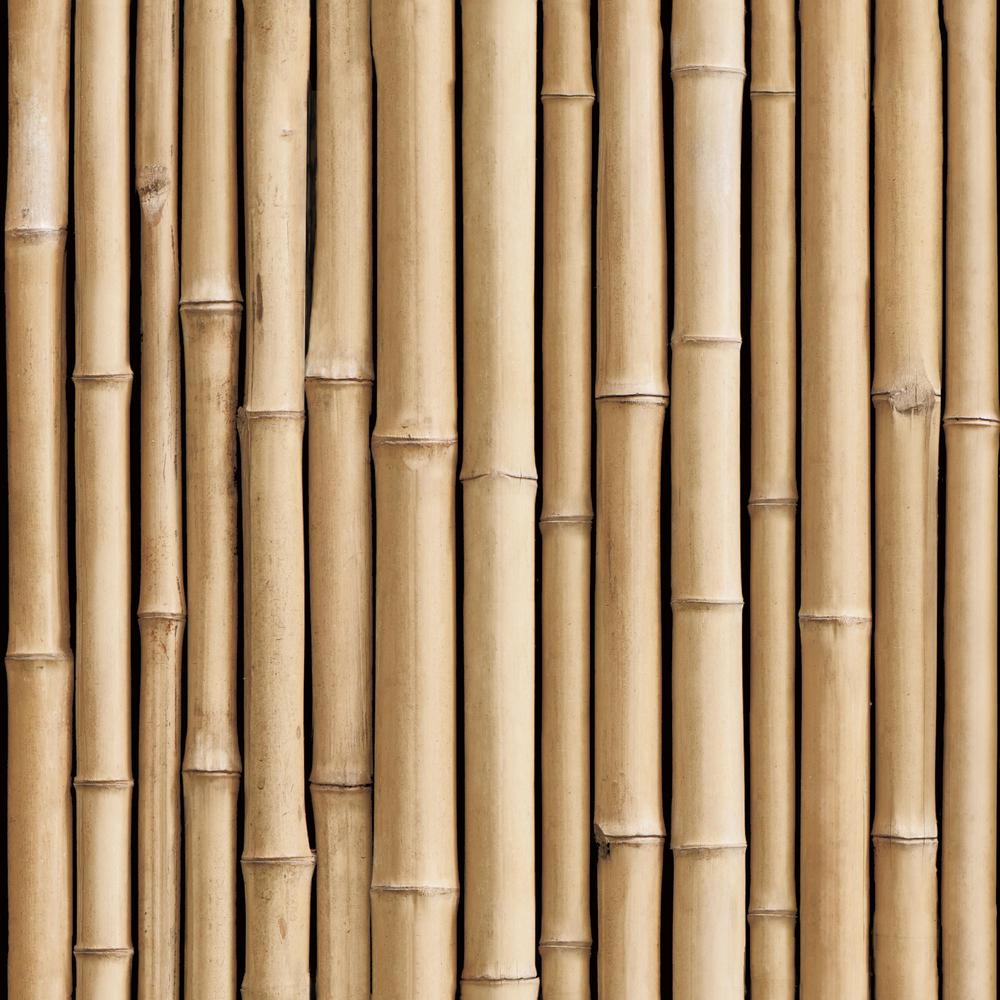 Sample Bamboo Peel & Stick Wallpaper in Brown by RoomMates for York Wallcoverings