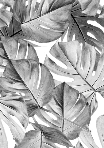 40 Gambar Wallpaper Black and White Leaves terbaru 2020