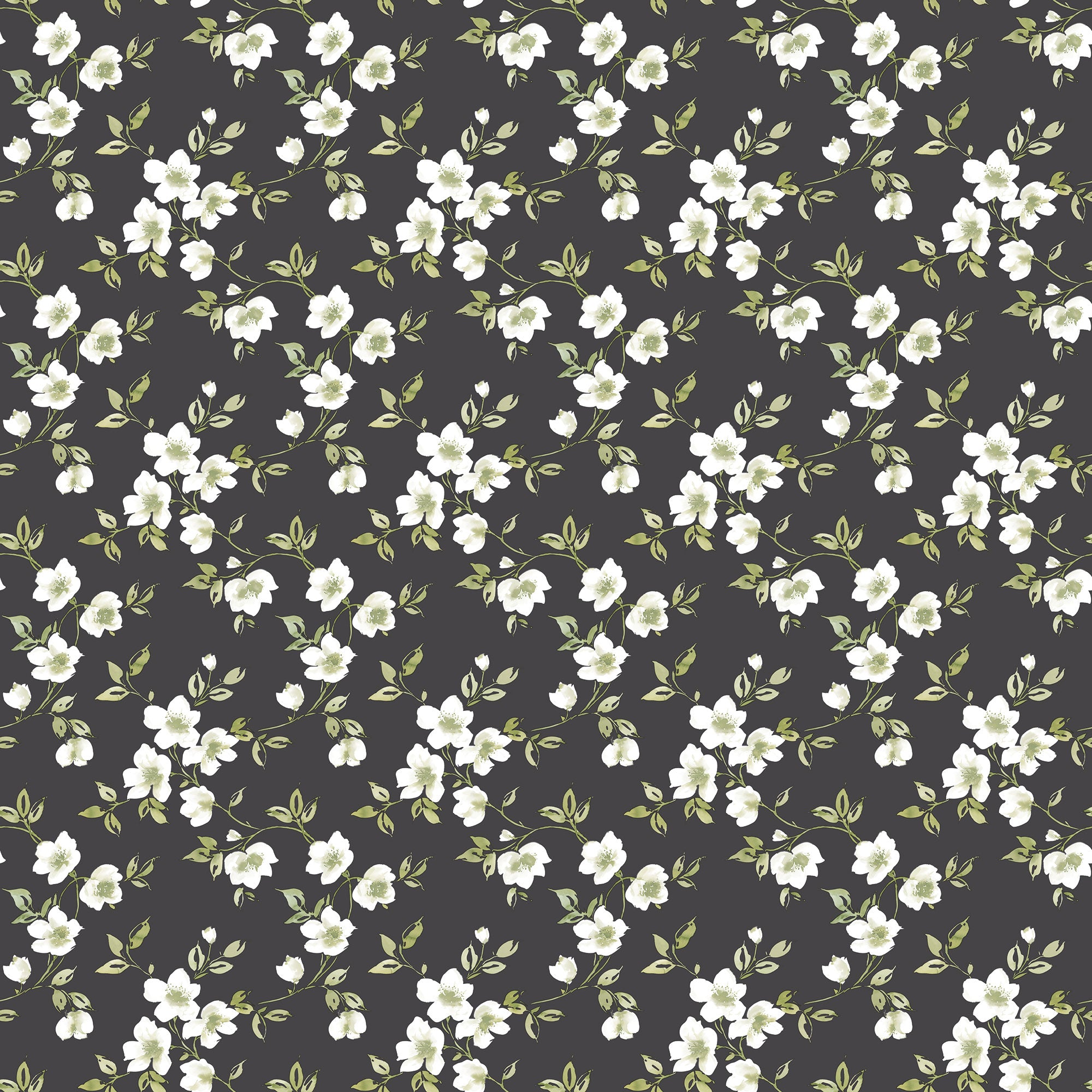 Anemone Mini Black Wallpaper from the Secret Garden Collection