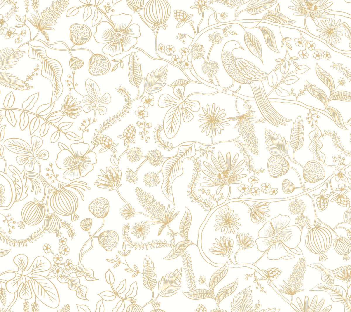 Aviary Peel & Stick Wallpaper in Off White/Gold