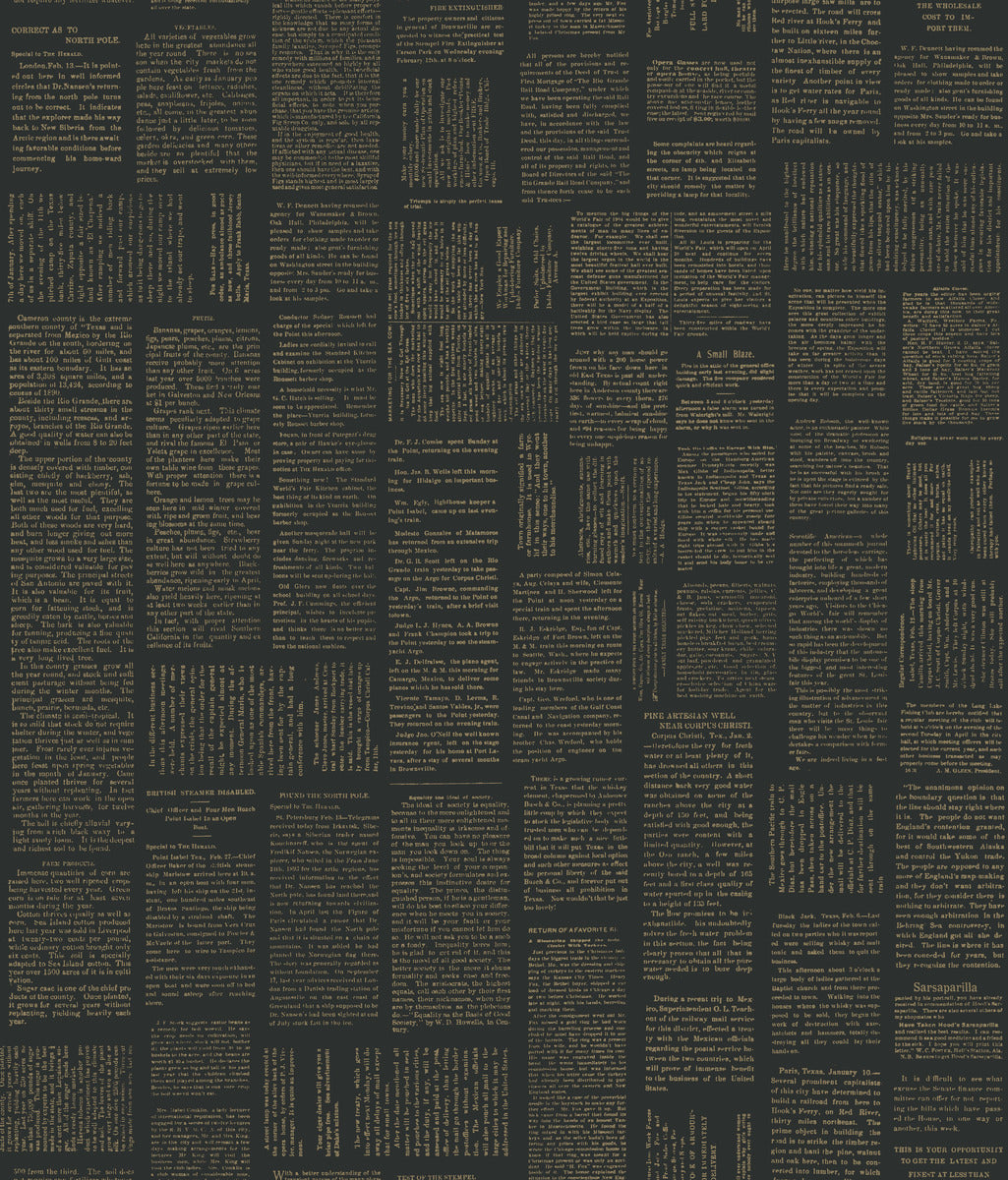 Shop Crafted Editorial Black/Gold Peel & Stick Wallpaper | Burke Decor