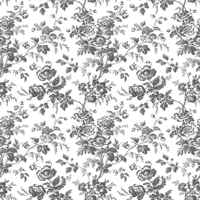 Anemone Toile Wallpaper in Black