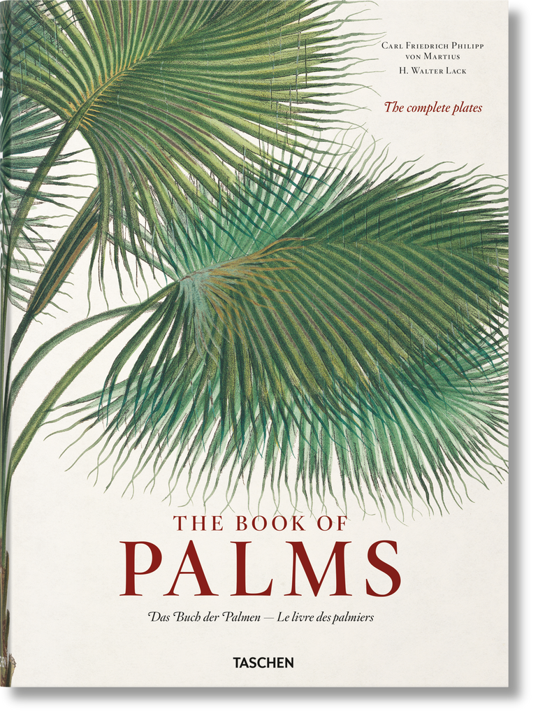 Martius The Book of Palms