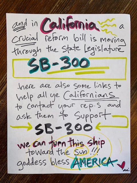 Support California SB 300