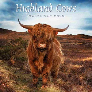 Highland Cows Calendar 2020 – Scotland's Bothy