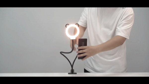 selfie light with phone holder