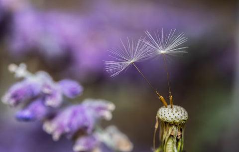 Daily mindfulness practices, cultivating awareness