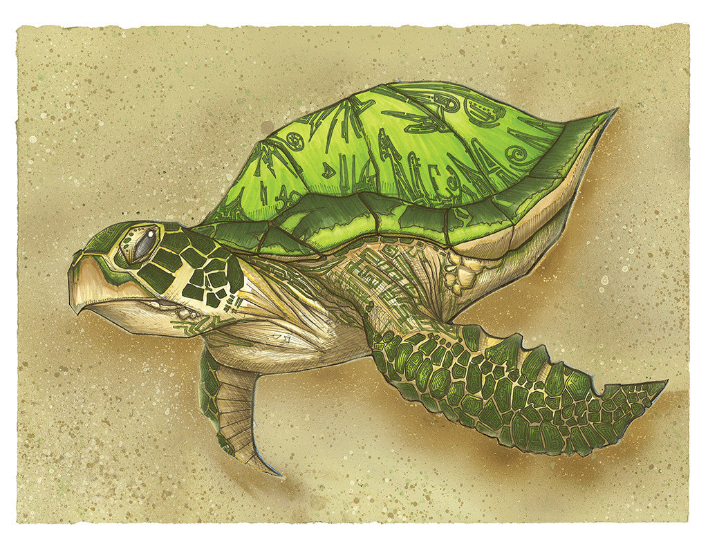The Sea Turtle – 