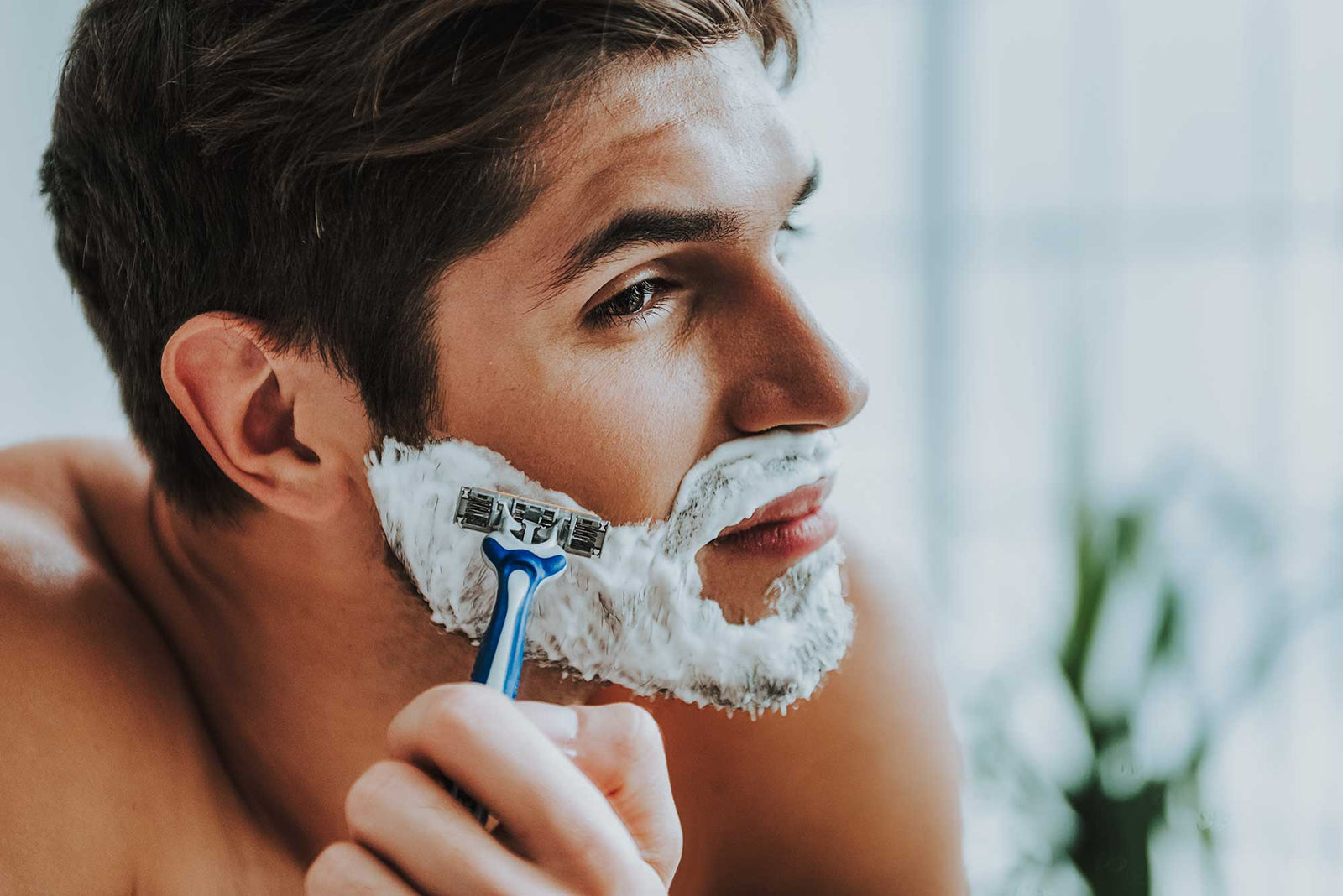 Все по бритью shave o'clock