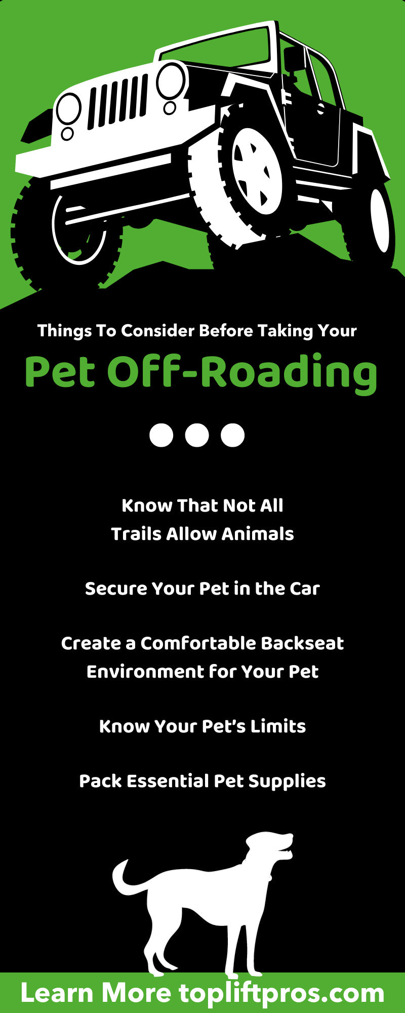 Things To Consider Before Taking Your Pet Off-Roading