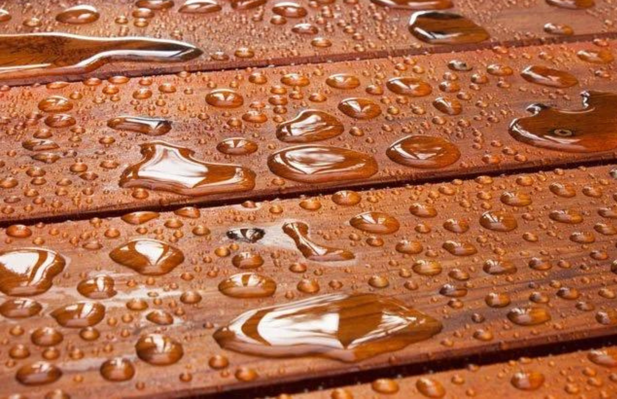 Water droplets on wood