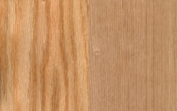 Red oak and White oak wood close up