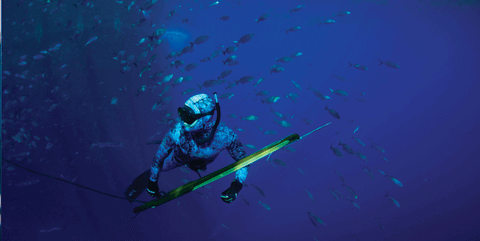 spearfishing products