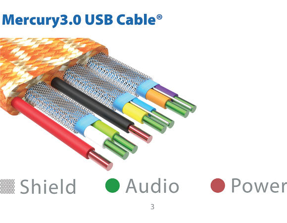 iFi Audio - iDefender+