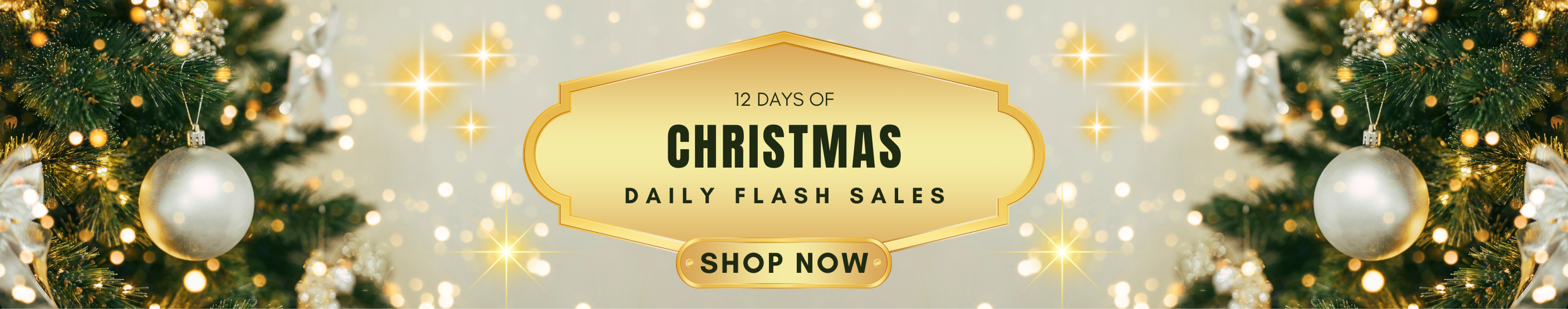 12 Days of Christmas Daily Flash Sale