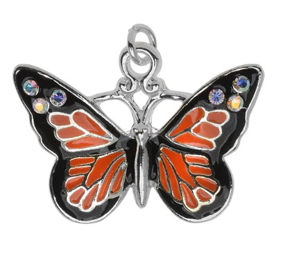 NATIONAL LEARN ABOUT BUTTERFLIES DAY - March 14 - National Day