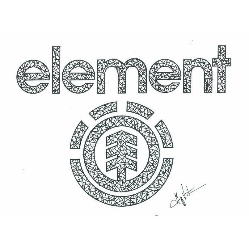 element skateboards honest