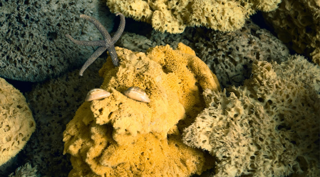 Eco-Friendly Reusable Dishwashing Sponges - Let's Save Earth