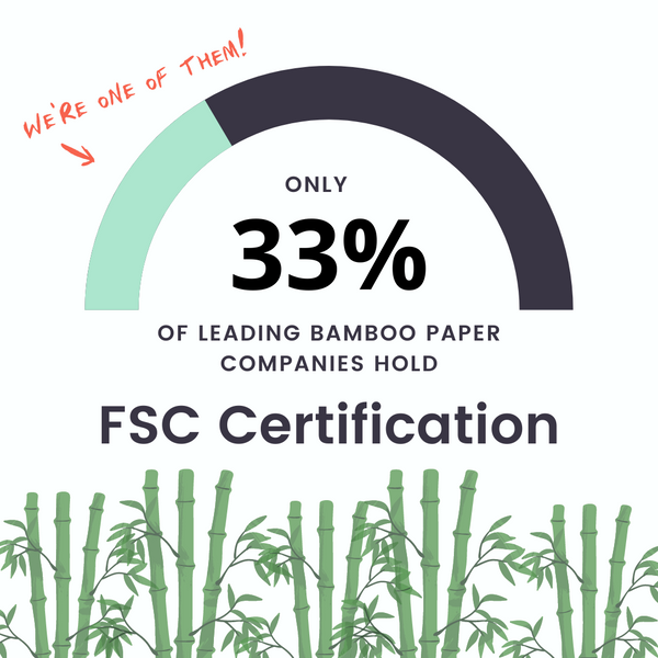 Is Bamboo Sustainable? All You Need to Know About Eco-Friendly Bamboo —  Sustainable Review