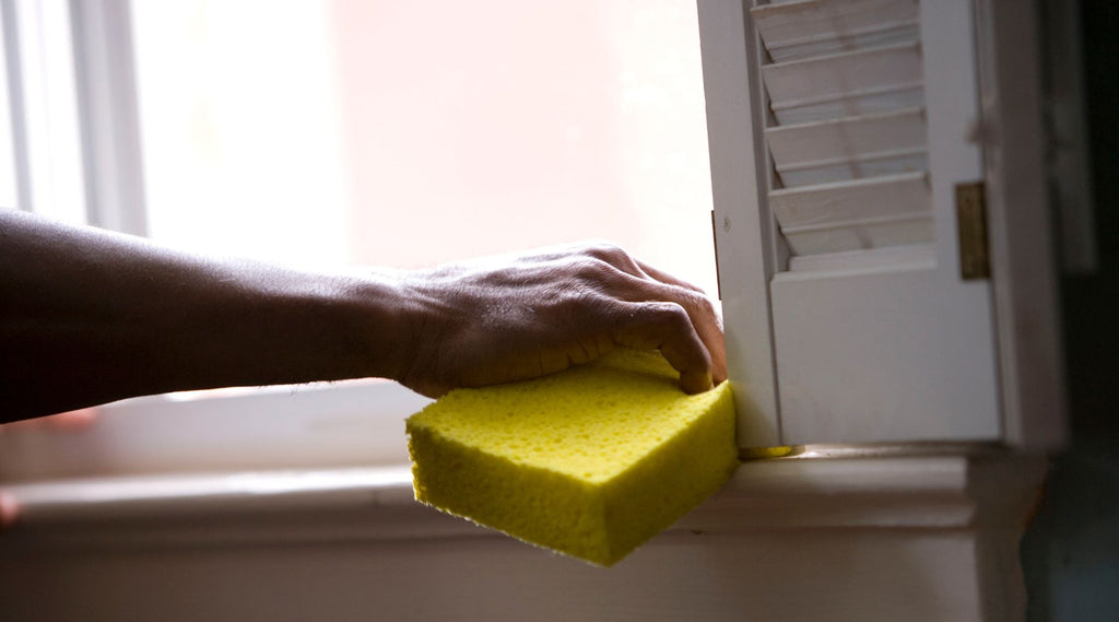 The Pitfalls of Plastic Sponges — And How to Wash Your Dishes Cleaner –  Cloud Paper