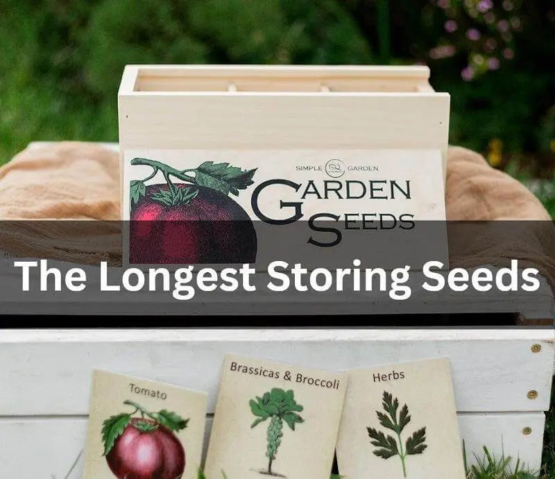 Must-Know-Tips-For-The-Longest-Storing-Seeds The Rike