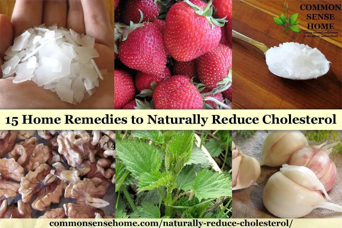 15-Home-Remedies-to-Naturally-Reduce-Cholesterol The Rike