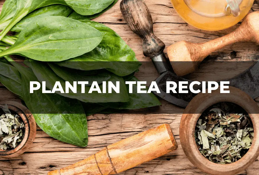 Discover-the-Refreshing-and-Nutritious-Plantain-Tea-Recipe The Rike