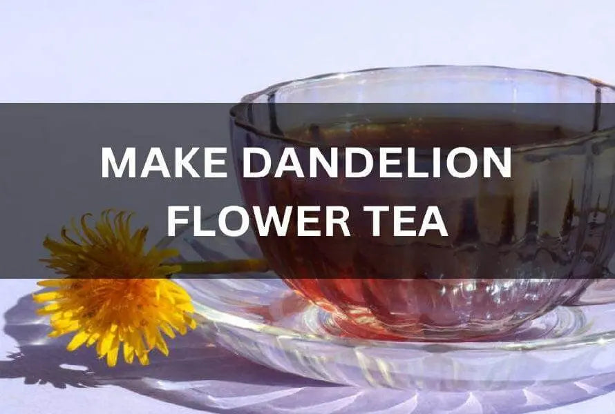 MUST-KNOW-GUIDE-ON-HOW-TO-MAKE-DANDELION-FLOWER-TEA-AT-HOME The Rike