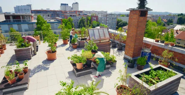 Urban-Rooftop-Gardens-Bringing-Nature-to-the-Concrete-Jungle The Rike