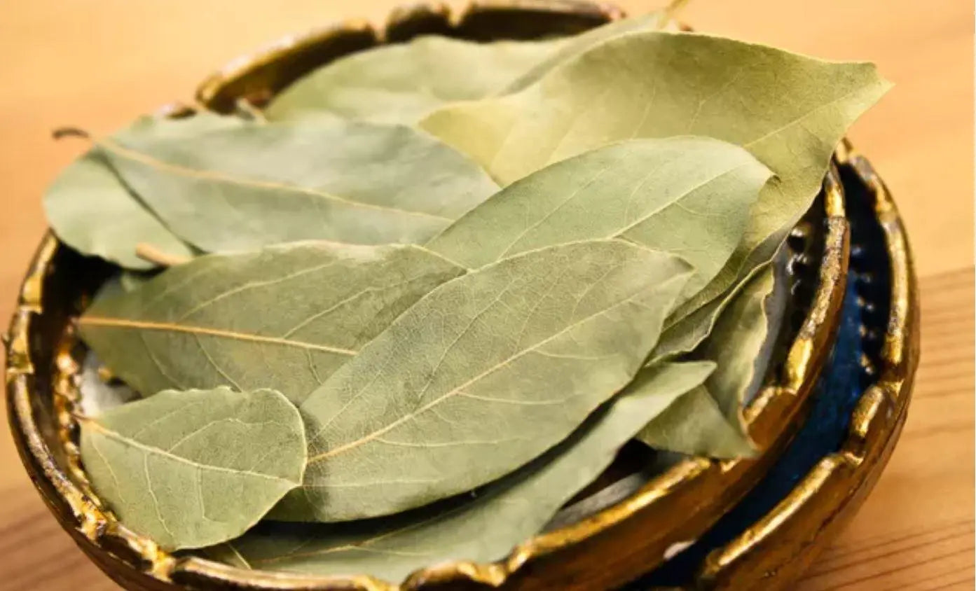 5-VIABLE-USES-FOR-THE-BAY-LEAF The Rike