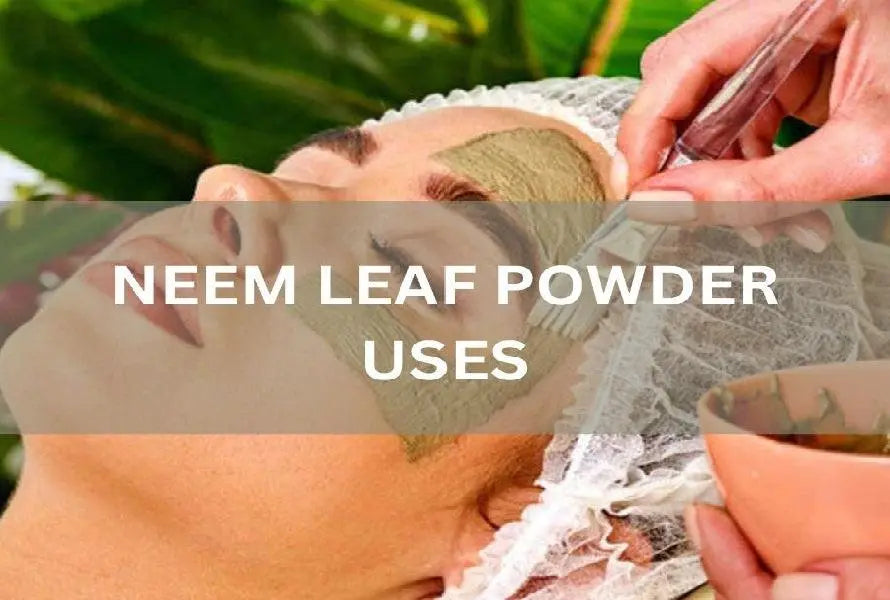 NEEM-LEAF-POWDER-USES-FOR-HAIR-AND-SKIN-BEST-HOME-RECIPES The Rike