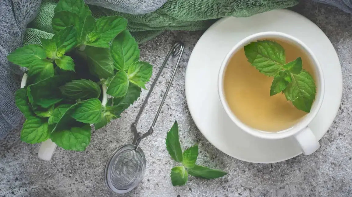 An-Invigorating-Journey-Infused-with-Peppermint-Power-Mentha-Piperita-Tea The Rike