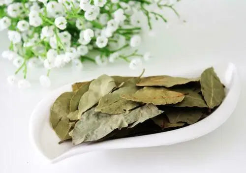 Do-Bay-Leaves-Even-Do-Anything The Rike