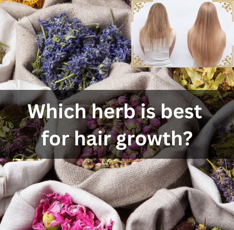 Which herb is best for hair growth? Check out these 5 herbs below