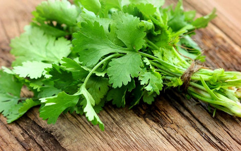 AMAZING CILANTRO BENEFITS FOR HEALTH & HOW TO ENJOY THEM