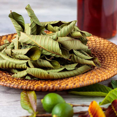 Guava Leaf Tea: Is It Good for You? - Q&A
