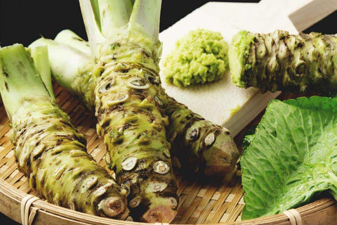 How to Grow Wasabi from Seed