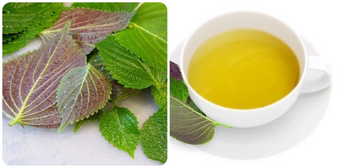 How To Make Perilla Tea (Shiso) - Important Step-By-Step Guideline