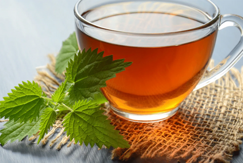 How To Make Perilla Tea (Shiso) - Important Step-By-Step Guideline