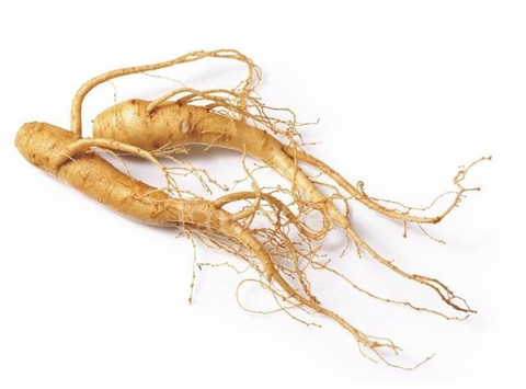 Is Panax Ginseng The Same As Red Ginseng?