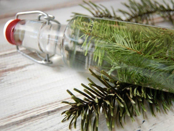 Pine-Infused Vinegar